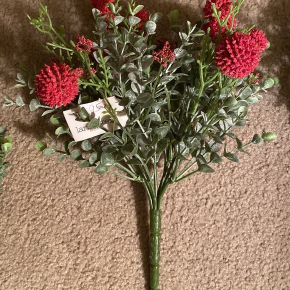 Garden Bush Pick Red - Picture 2 of 5